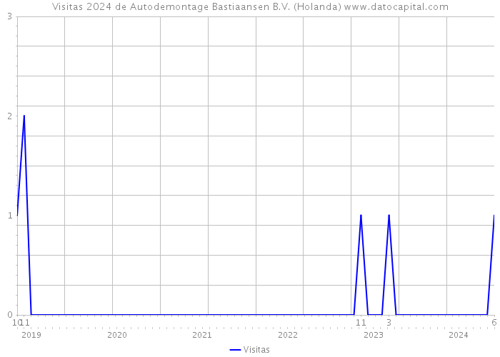Visitas 2024 de Autodemontage Bastiaansen B.V. (Holanda) 