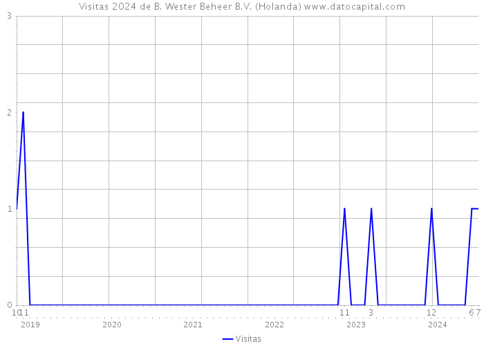 Visitas 2024 de B. Wester Beheer B.V. (Holanda) 