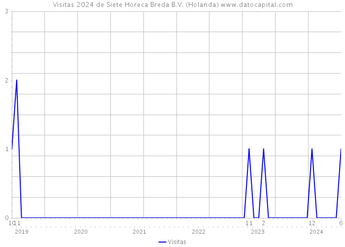 Visitas 2024 de Siete Horeca Breda B.V. (Holanda) 