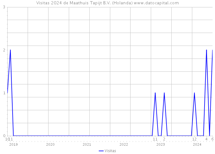 Visitas 2024 de Maathuis Tapijt B.V. (Holanda) 