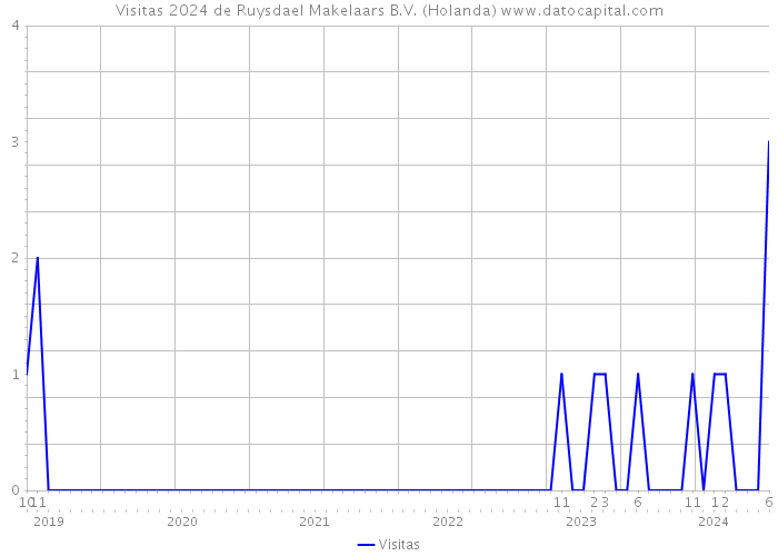 Visitas 2024 de Ruysdael Makelaars B.V. (Holanda) 