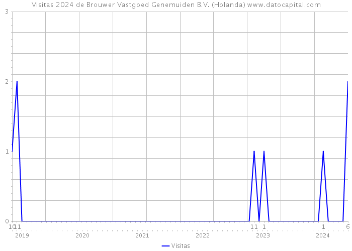 Visitas 2024 de Brouwer Vastgoed Genemuiden B.V. (Holanda) 