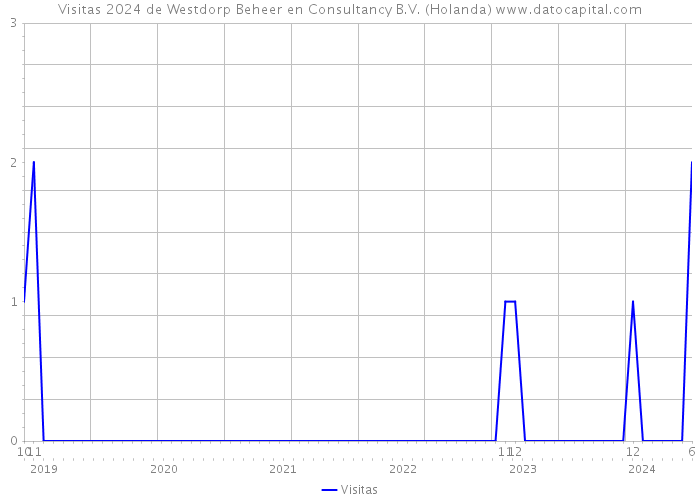 Visitas 2024 de Westdorp Beheer en Consultancy B.V. (Holanda) 