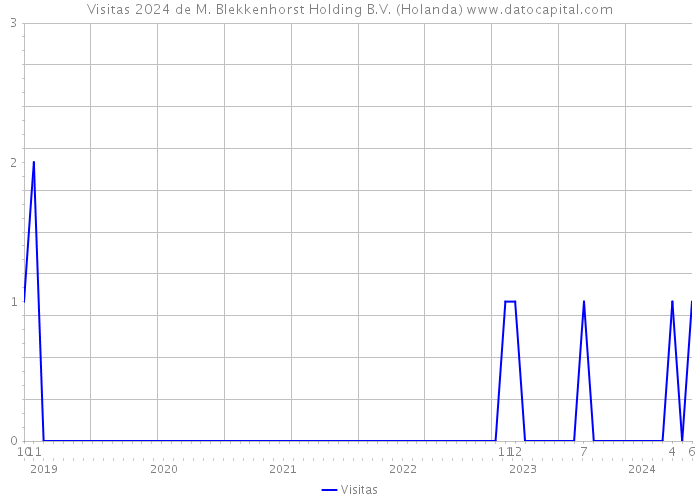 Visitas 2024 de M. Blekkenhorst Holding B.V. (Holanda) 