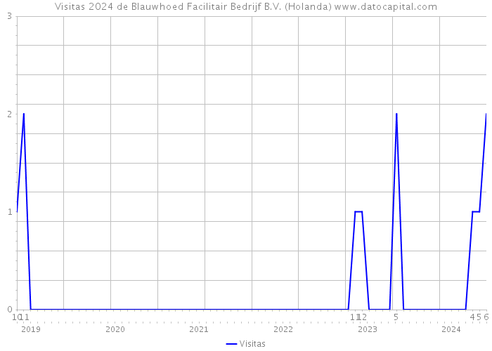 Visitas 2024 de Blauwhoed Facilitair Bedrijf B.V. (Holanda) 