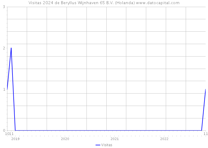 Visitas 2024 de Beryllus Wijnhaven 65 B.V. (Holanda) 