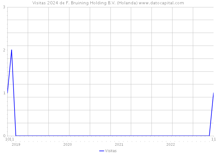 Visitas 2024 de F. Bruining Holding B.V. (Holanda) 