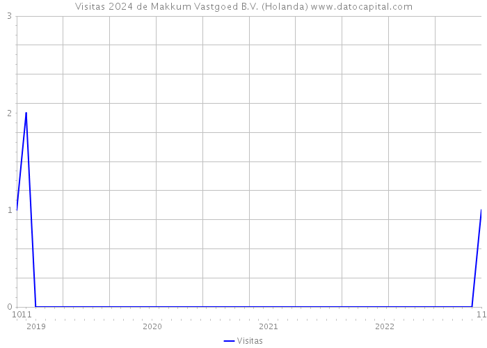 Visitas 2024 de Makkum Vastgoed B.V. (Holanda) 