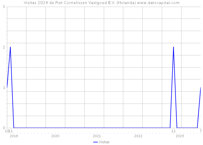 Visitas 2024 de Piet Cornelissen Vastgoed B.V. (Holanda) 