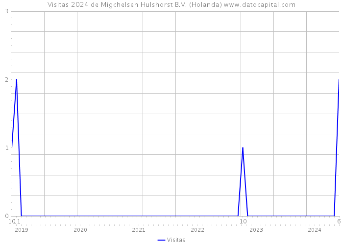 Visitas 2024 de Migchelsen Hulshorst B.V. (Holanda) 