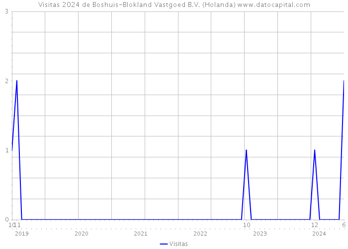 Visitas 2024 de Boshuis-Blokland Vastgoed B.V. (Holanda) 