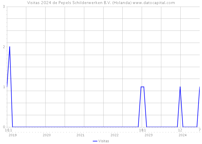 Visitas 2024 de Pepels Schilderwerken B.V. (Holanda) 