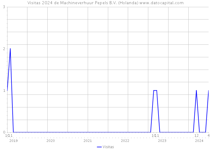 Visitas 2024 de Machineverhuur Pepels B.V. (Holanda) 