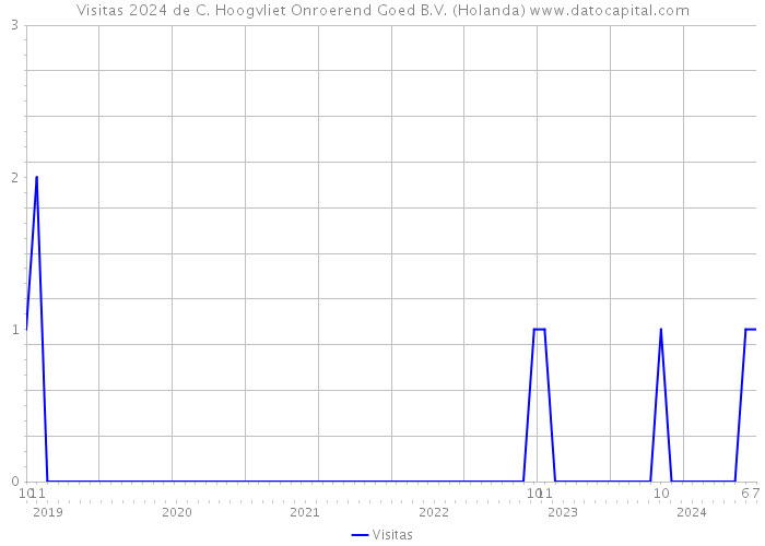 Visitas 2024 de C. Hoogvliet Onroerend Goed B.V. (Holanda) 