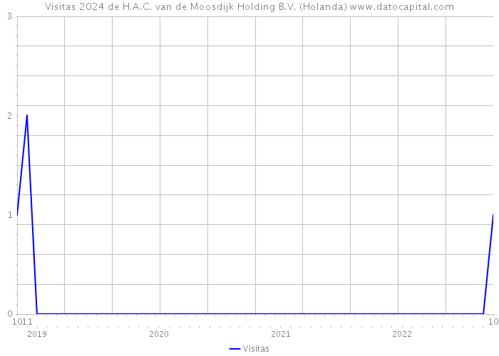Visitas 2024 de H.A.C. van de Moosdijk Holding B.V. (Holanda) 