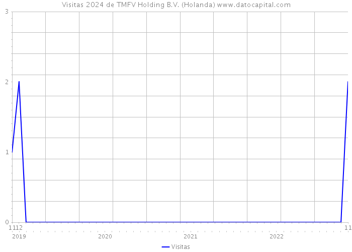 Visitas 2024 de TMFV Holding B.V. (Holanda) 