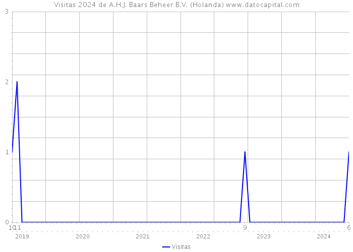 Visitas 2024 de A.H.J. Baars Beheer B.V. (Holanda) 