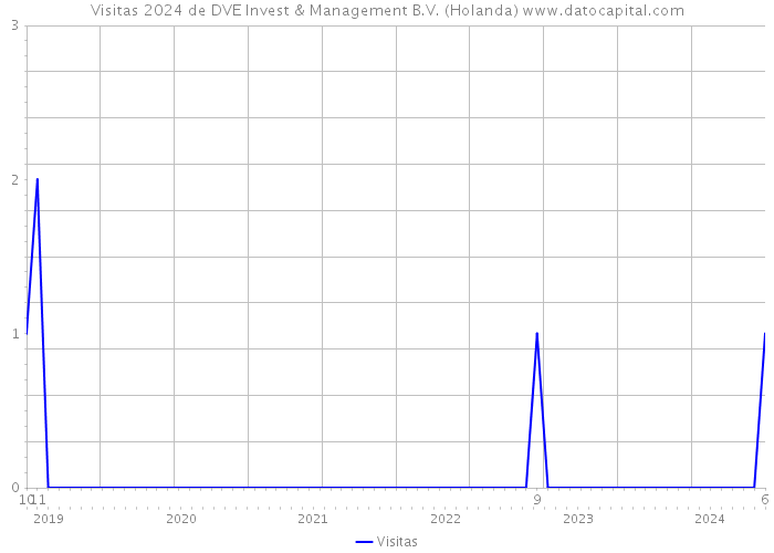Visitas 2024 de DVE Invest & Management B.V. (Holanda) 