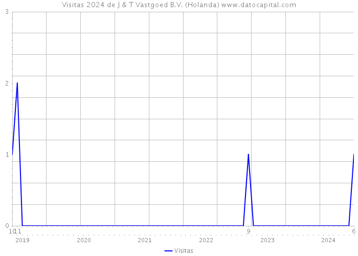 Visitas 2024 de J & T Vastgoed B.V. (Holanda) 