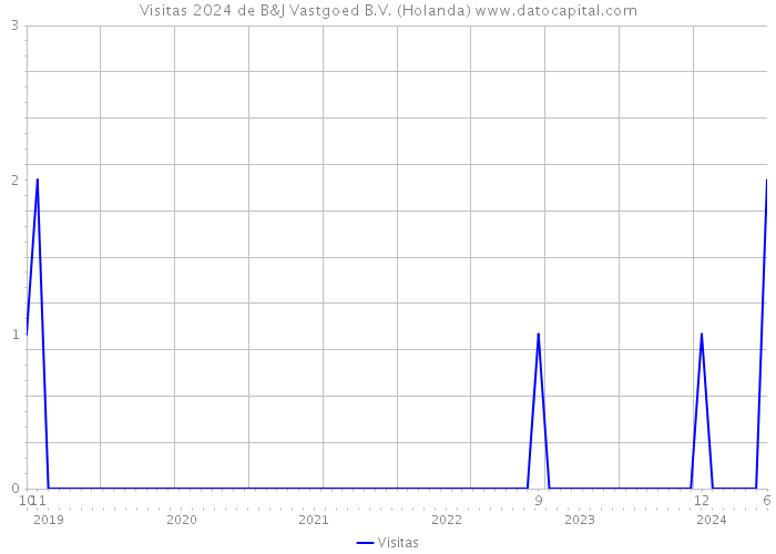 Visitas 2024 de B&J Vastgoed B.V. (Holanda) 