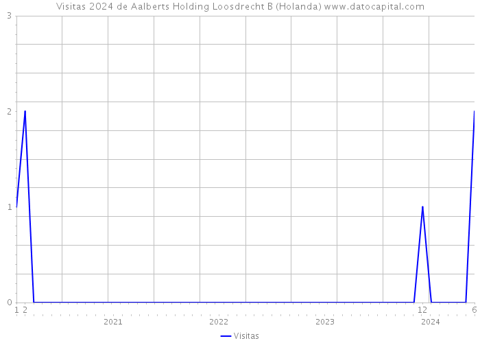 Visitas 2024 de Aalberts Holding Loosdrecht B (Holanda) 