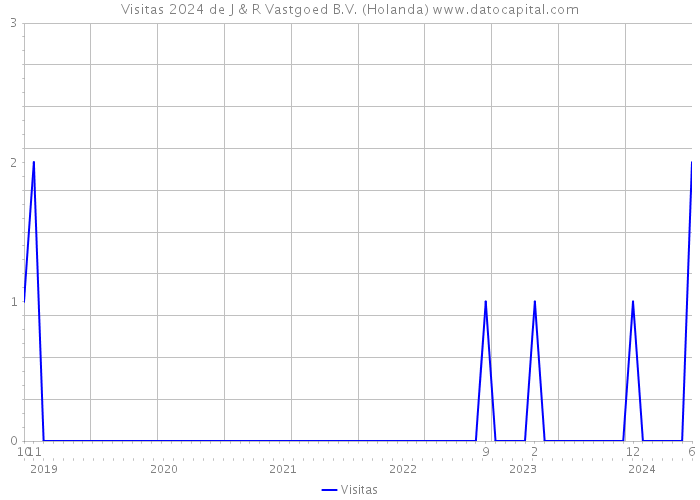 Visitas 2024 de J & R Vastgoed B.V. (Holanda) 