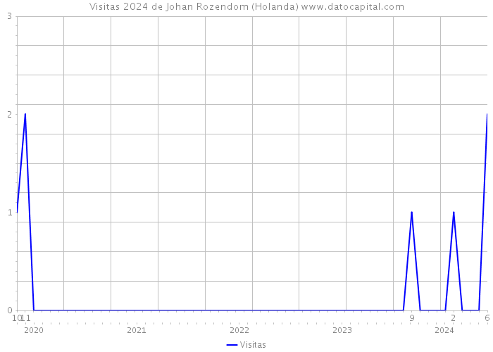 Visitas 2024 de Johan Rozendom (Holanda) 