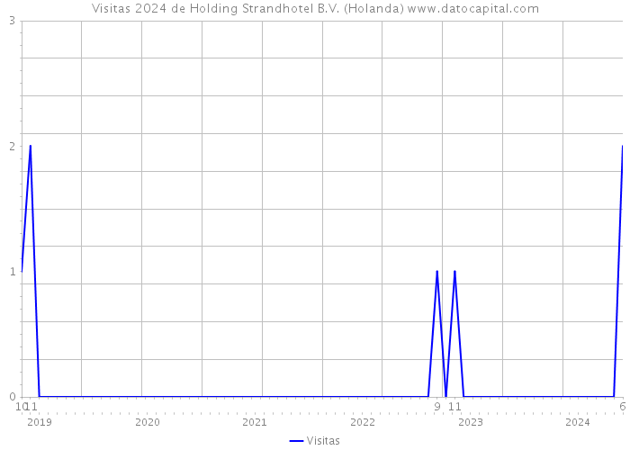 Visitas 2024 de Holding Strandhotel B.V. (Holanda) 