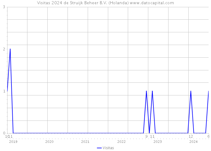 Visitas 2024 de Struijk Beheer B.V. (Holanda) 