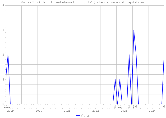 Visitas 2024 de B.H. Henkelman Holding B.V. (Holanda) 