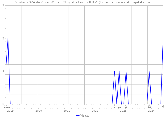 Visitas 2024 de Zilver Wonen Obligatie Fonds II B.V. (Holanda) 