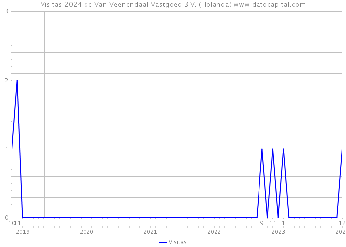 Visitas 2024 de Van Veenendaal Vastgoed B.V. (Holanda) 
