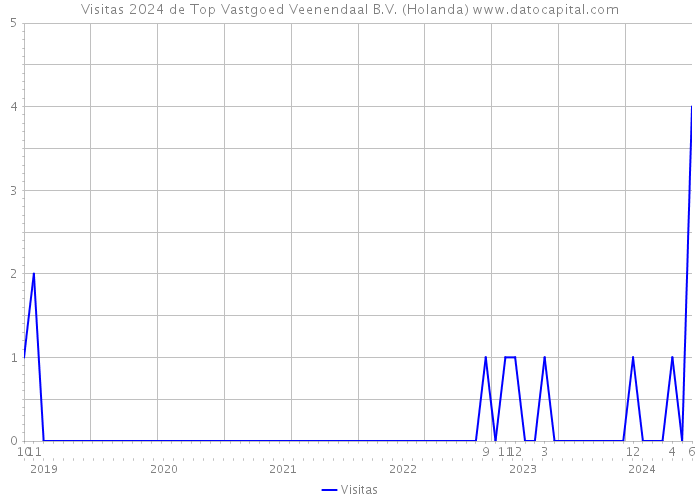 Visitas 2024 de Top Vastgoed Veenendaal B.V. (Holanda) 