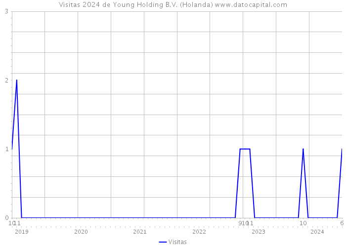 Visitas 2024 de Young Holding B.V. (Holanda) 