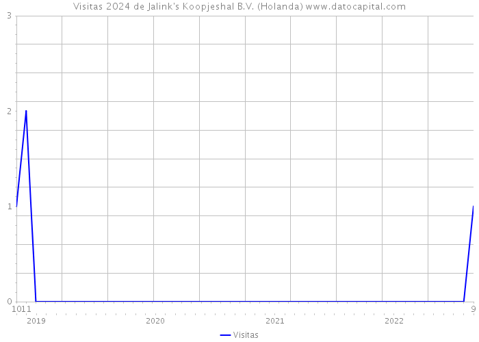 Visitas 2024 de Jalink's Koopjeshal B.V. (Holanda) 