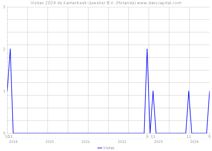 Visitas 2024 de Kamerbeek-Juwelier B.V. (Holanda) 