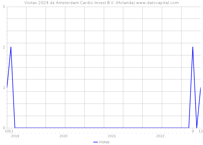 Visitas 2024 de Amsterdam Cardio Invest B.V. (Holanda) 