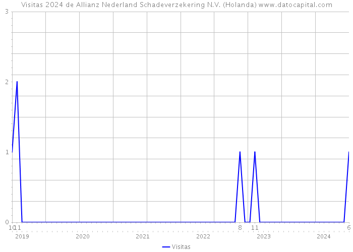 Visitas 2024 de Allianz Nederland Schadeverzekering N.V. (Holanda) 