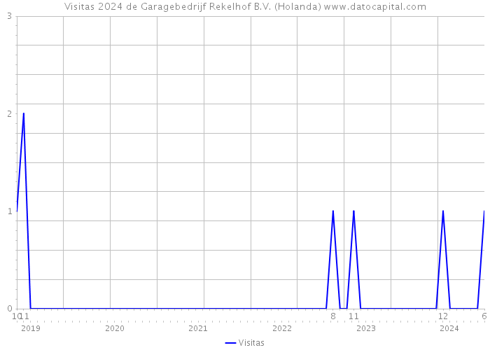 Visitas 2024 de Garagebedrijf Rekelhof B.V. (Holanda) 