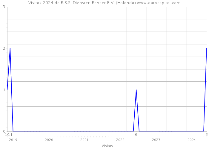 Visitas 2024 de B.S.S. Diensten Beheer B.V. (Holanda) 