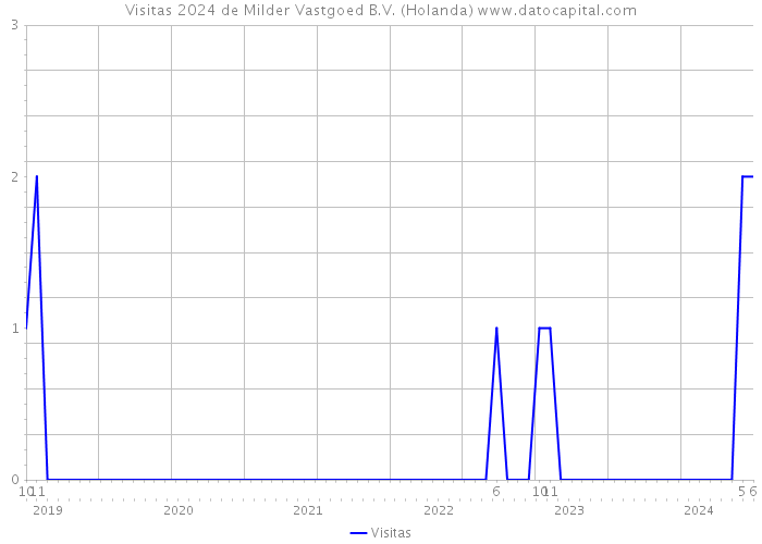 Visitas 2024 de Milder Vastgoed B.V. (Holanda) 