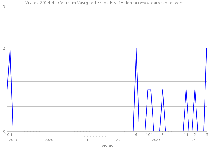 Visitas 2024 de Centrum Vastgoed Breda B.V. (Holanda) 