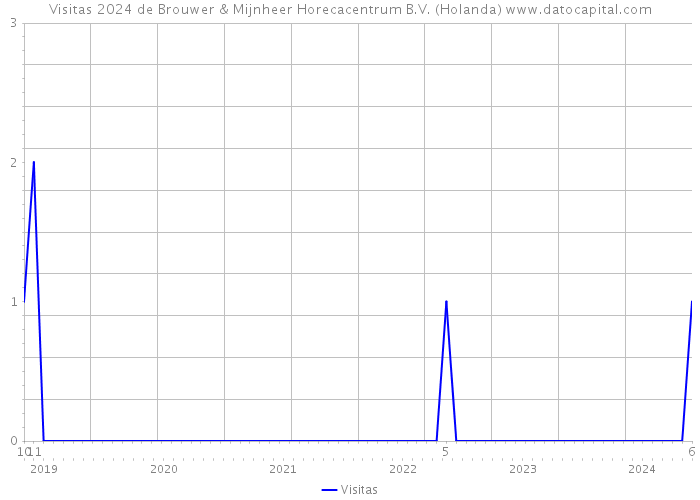 Visitas 2024 de Brouwer & Mijnheer Horecacentrum B.V. (Holanda) 