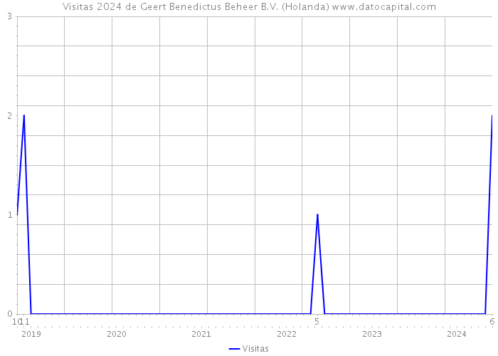 Visitas 2024 de Geert Benedictus Beheer B.V. (Holanda) 