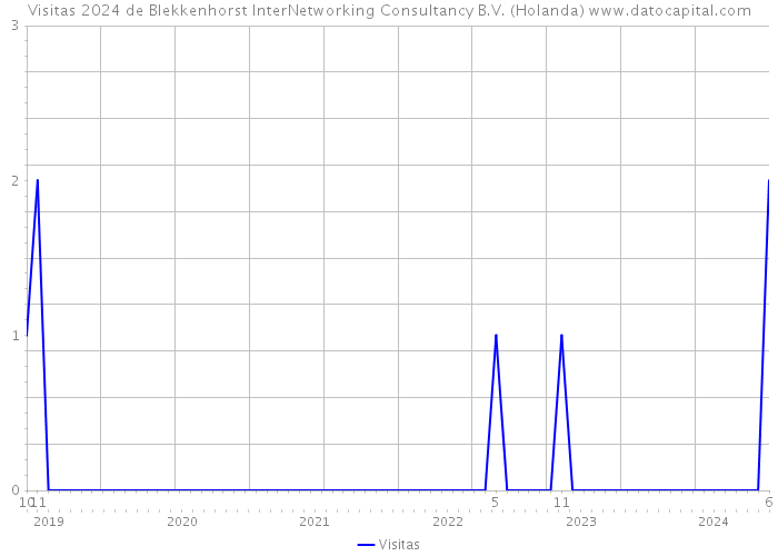Visitas 2024 de Blekkenhorst InterNetworking Consultancy B.V. (Holanda) 