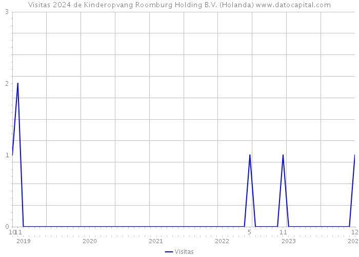 Visitas 2024 de Kinderopvang Roomburg Holding B.V. (Holanda) 
