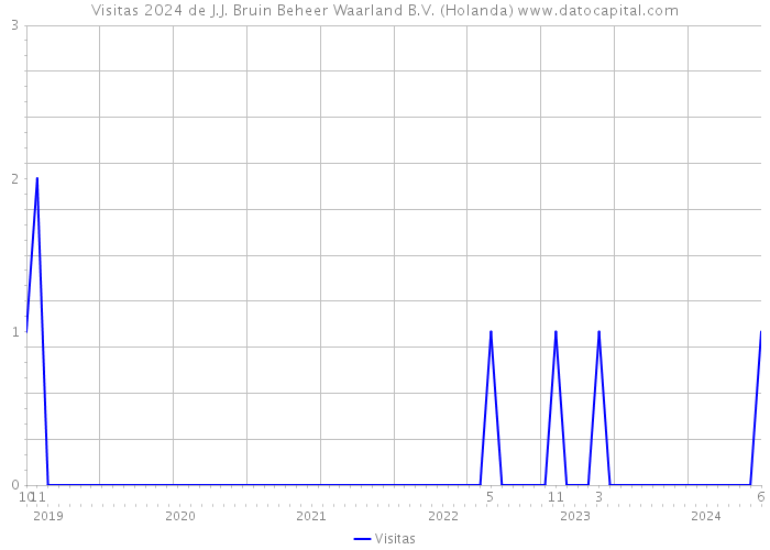 Visitas 2024 de J.J. Bruin Beheer Waarland B.V. (Holanda) 