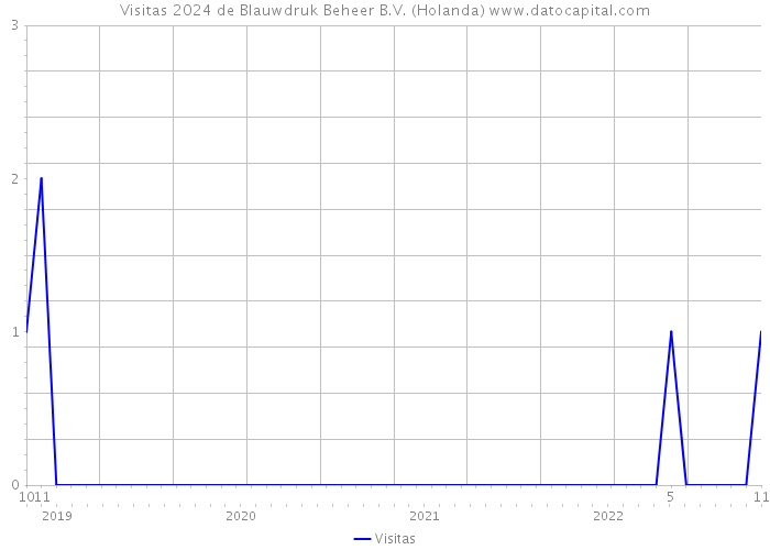 Visitas 2024 de Blauwdruk Beheer B.V. (Holanda) 