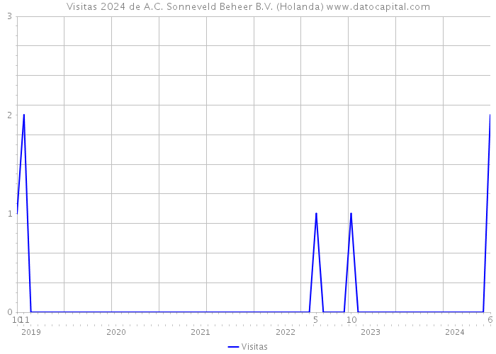 Visitas 2024 de A.C. Sonneveld Beheer B.V. (Holanda) 