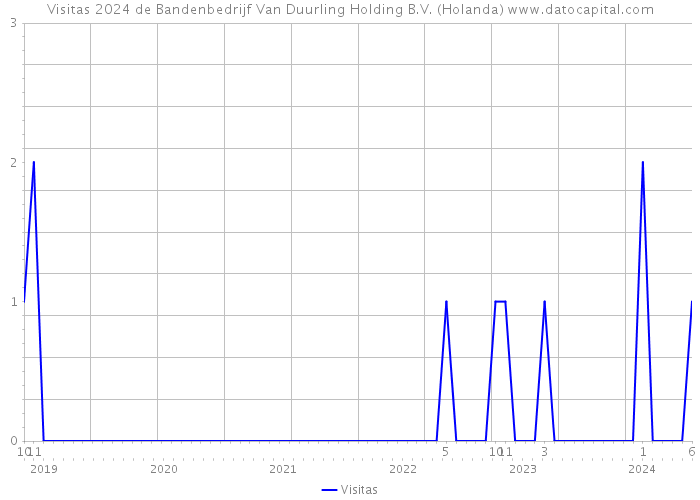 Visitas 2024 de Bandenbedrijf Van Duurling Holding B.V. (Holanda) 